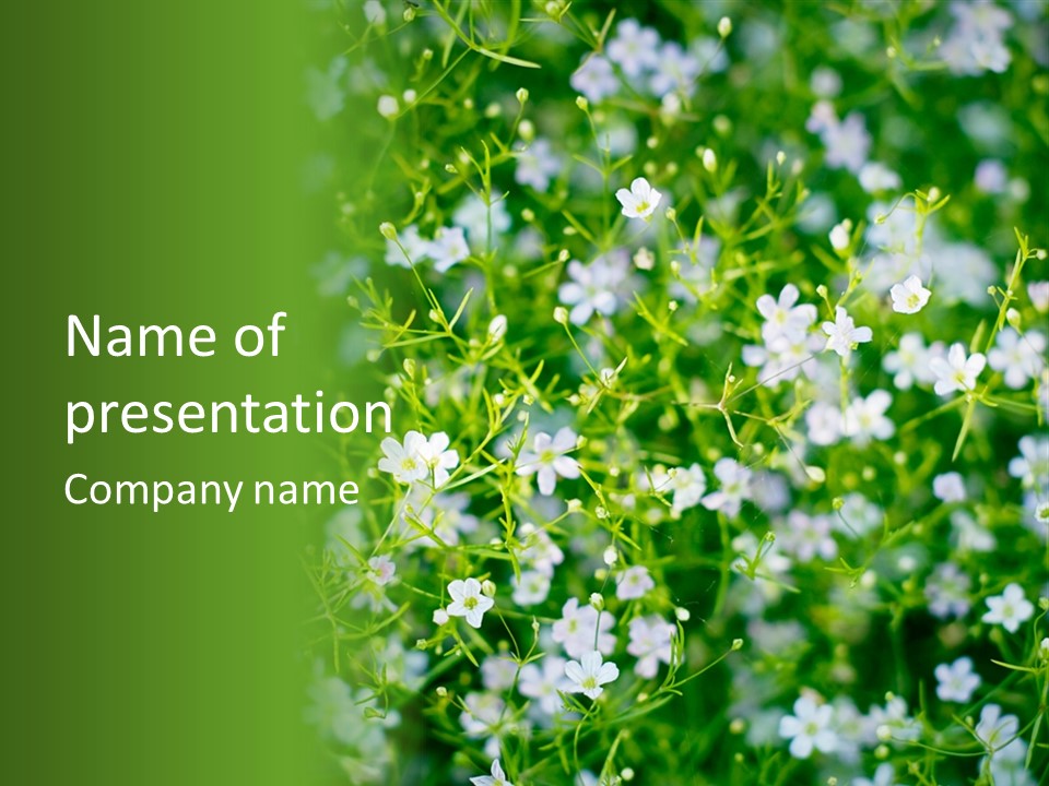 Bokeh Spring Flower PowerPoint Template