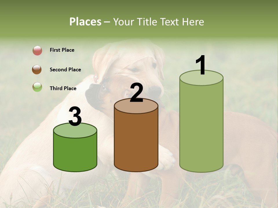 Puppy Grass Purebred PowerPoint Template