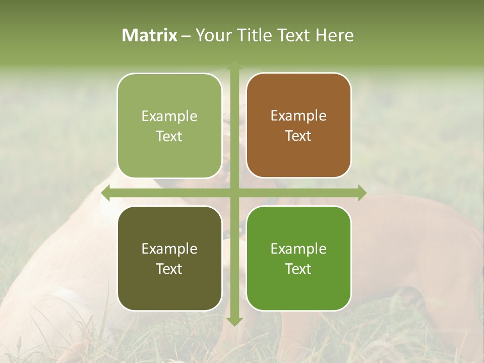 Puppy Grass Purebred PowerPoint Template