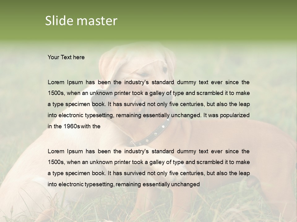 Puppy Grass Purebred PowerPoint Template