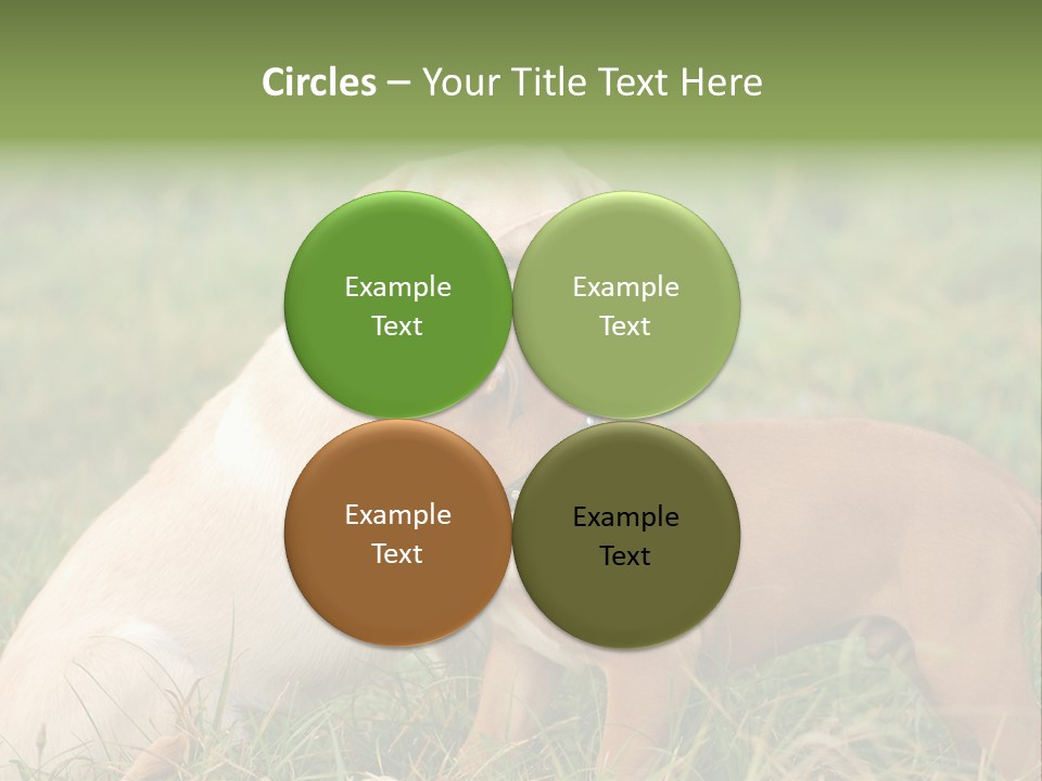 Puppy Grass Purebred PowerPoint Template