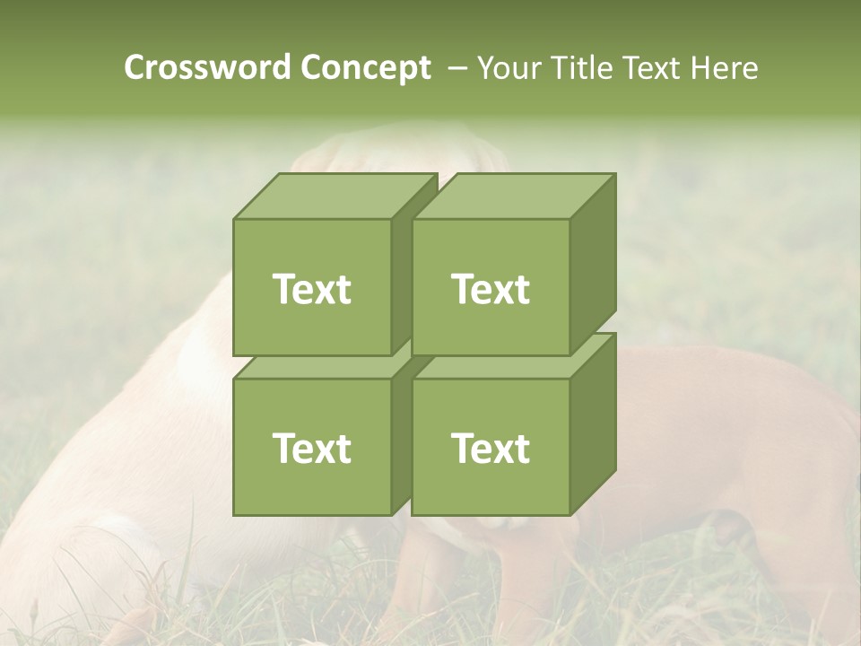 Puppy Grass Purebred PowerPoint Template