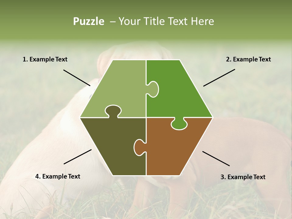 Puppy Grass Purebred PowerPoint Template