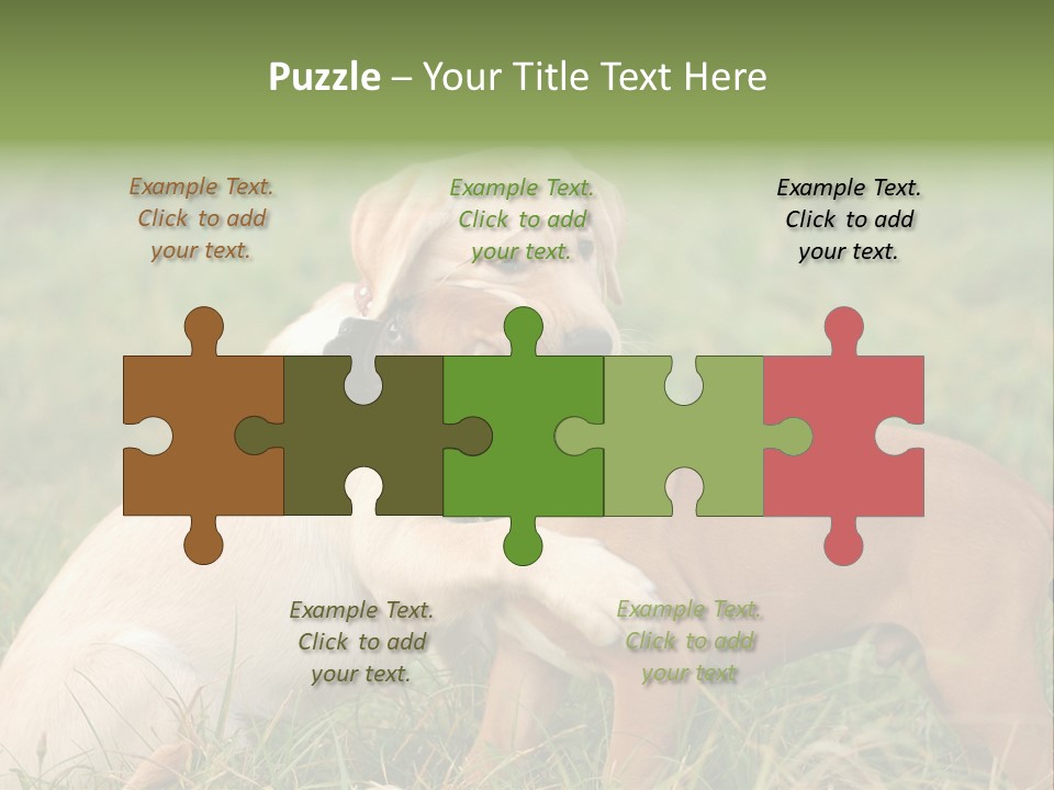 Puppy Grass Purebred PowerPoint Template