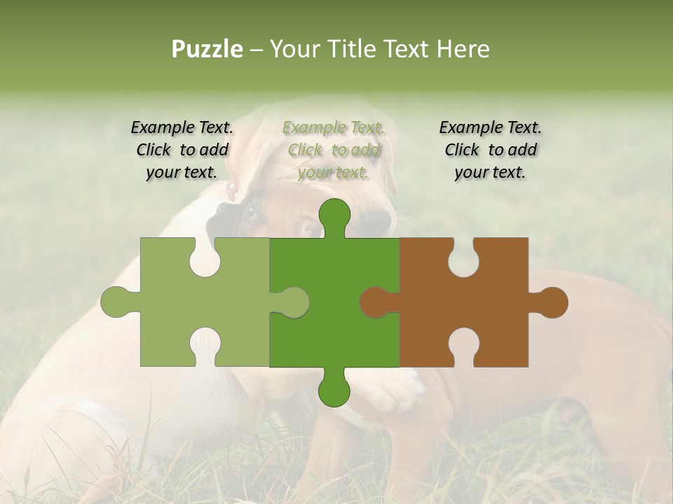 Puppy Grass Purebred PowerPoint Template