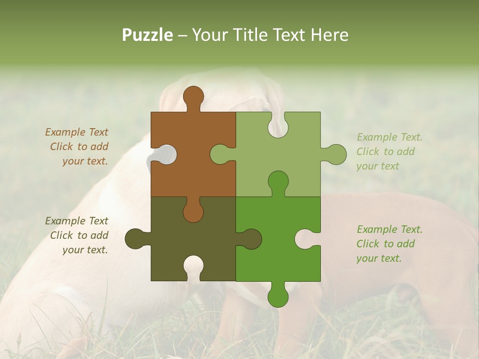 Puppy Grass Purebred PowerPoint Template
