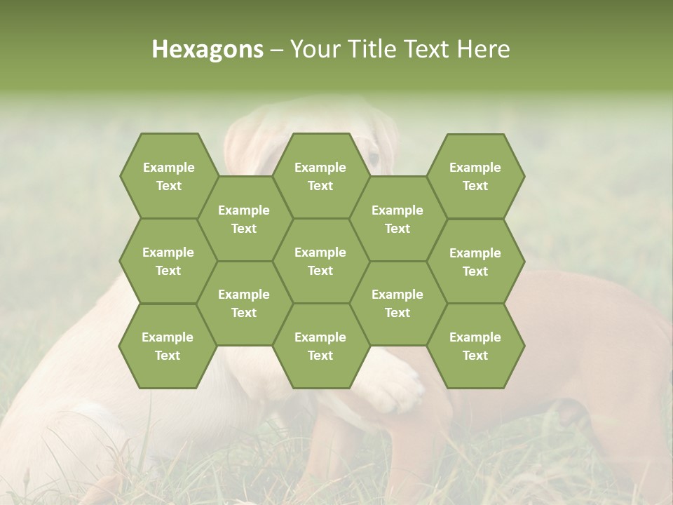 Puppy Grass Purebred PowerPoint Template