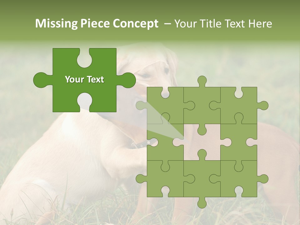 Puppy Grass Purebred PowerPoint Template