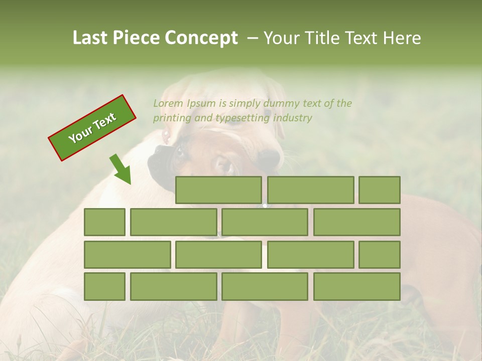 Puppy Grass Purebred PowerPoint Template