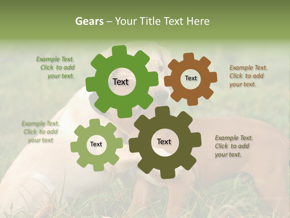 Puppy Grass Purebred PowerPoint Template