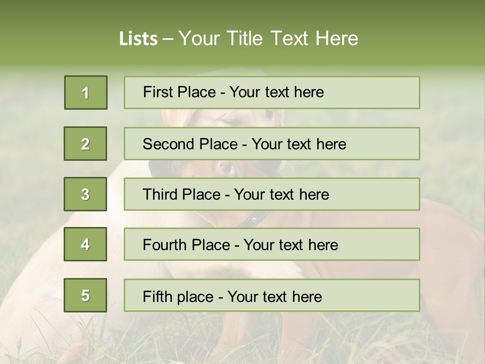 Puppy Grass Purebred PowerPoint Template