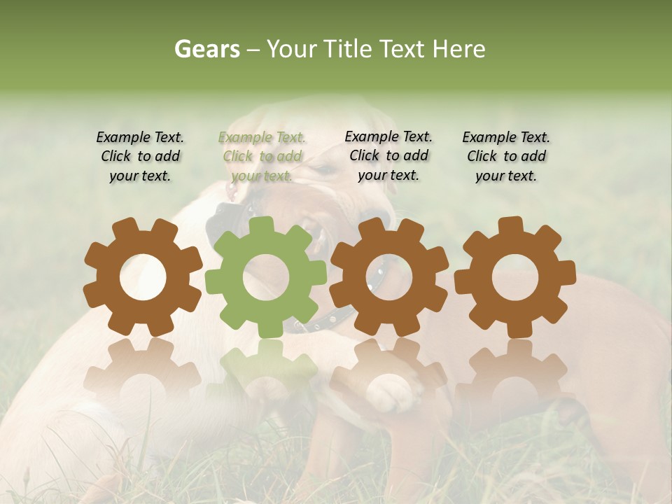 Puppy Grass Purebred PowerPoint Template