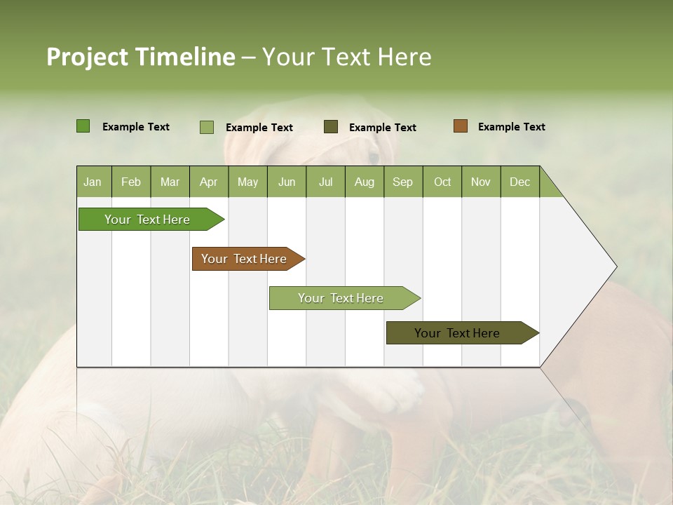 Puppy Grass Purebred PowerPoint Template