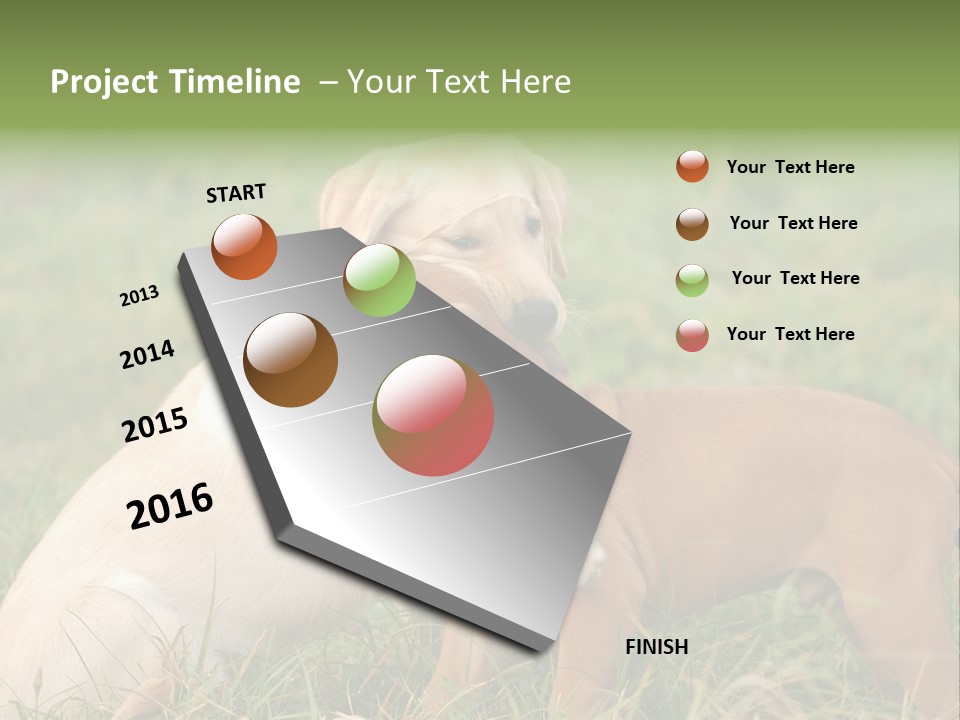 Puppy Grass Purebred PowerPoint Template