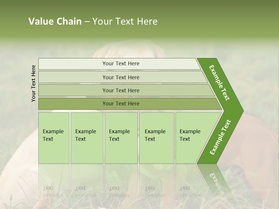 Puppy Grass Purebred PowerPoint Template