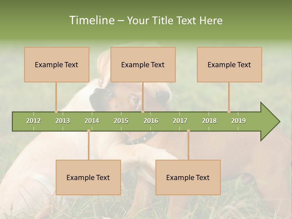 Puppy Grass Purebred PowerPoint Template