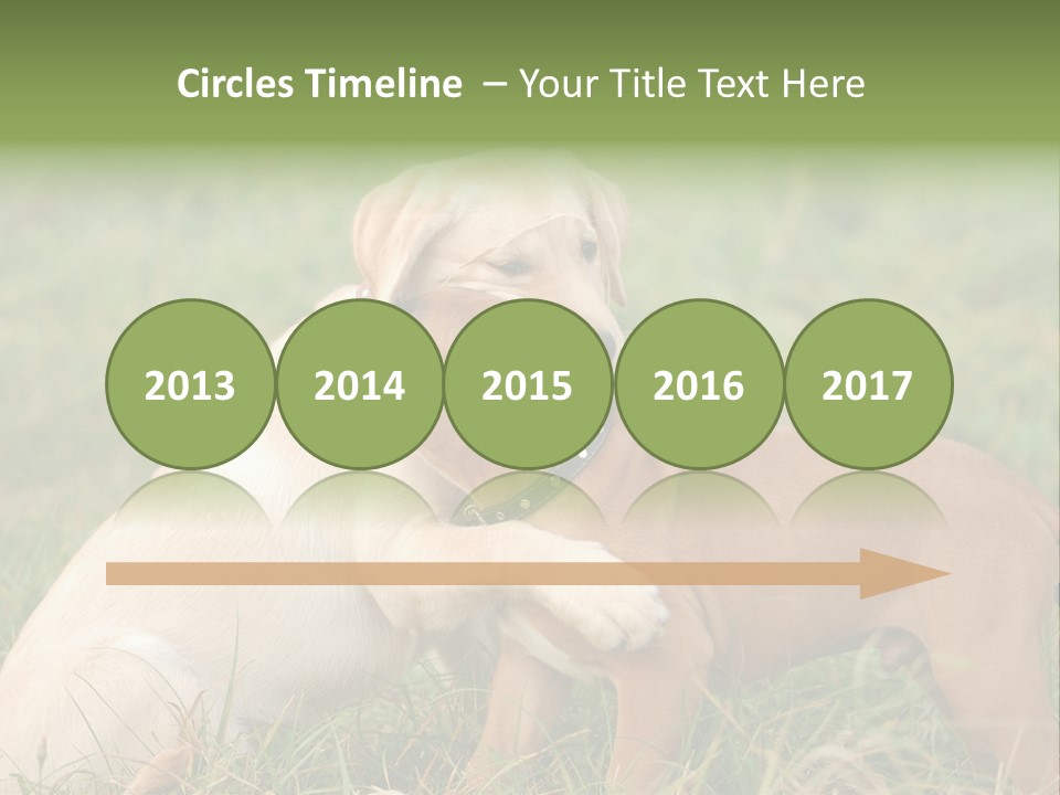 Puppy Grass Purebred PowerPoint Template