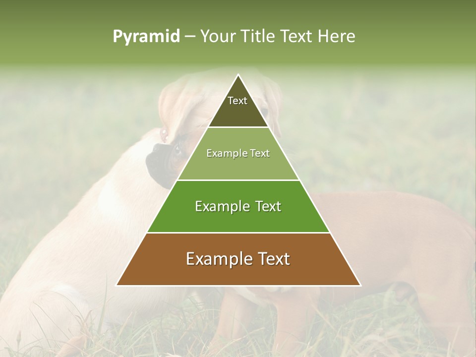 Puppy Grass Purebred PowerPoint Template