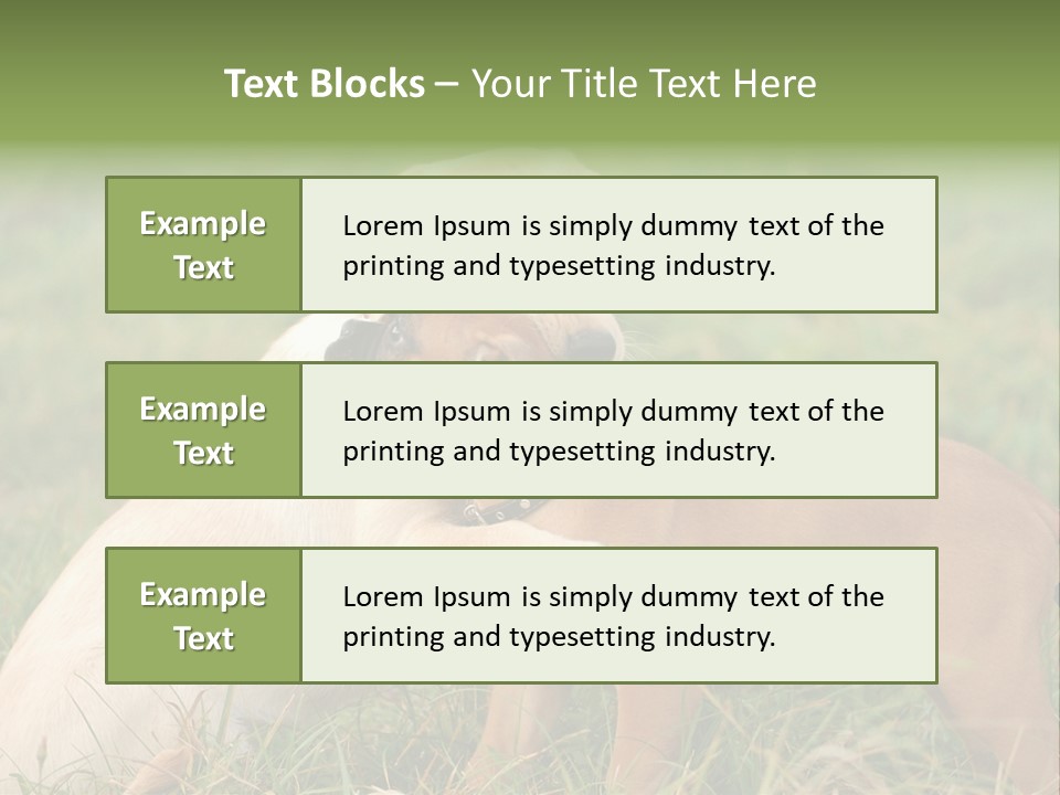 Puppy Grass Purebred PowerPoint Template