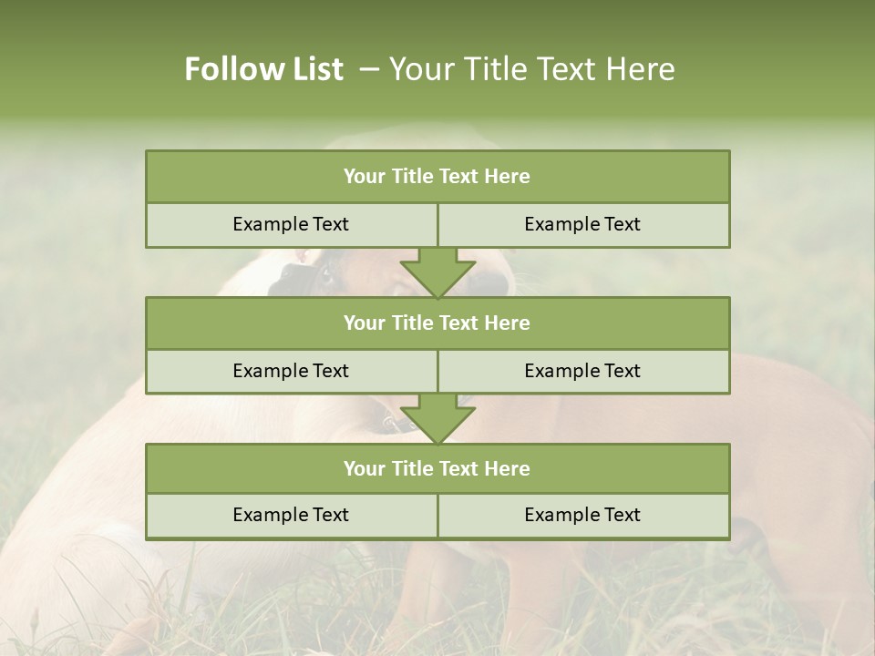 Puppy Grass Purebred PowerPoint Template