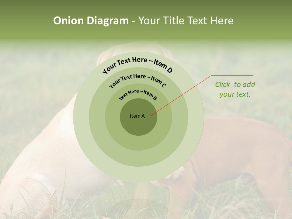 Puppy Grass Purebred PowerPoint Template