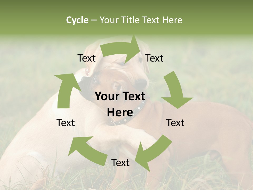 Puppy Grass Purebred PowerPoint Template