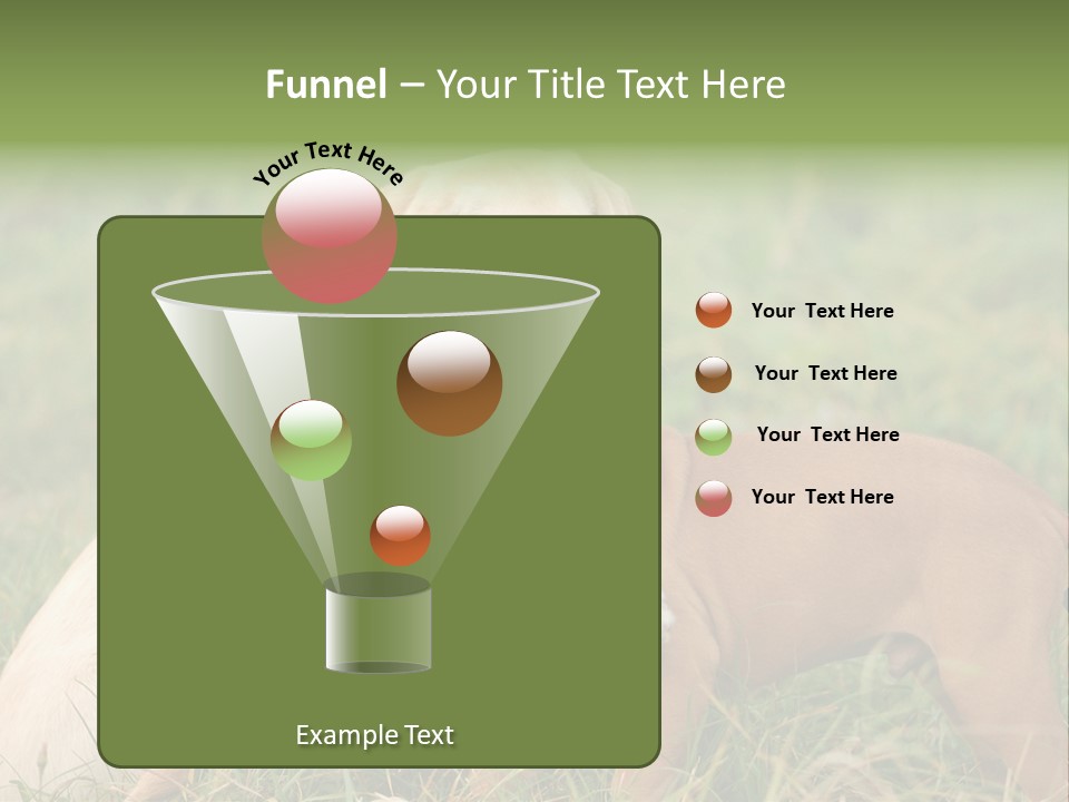 Puppy Grass Purebred PowerPoint Template