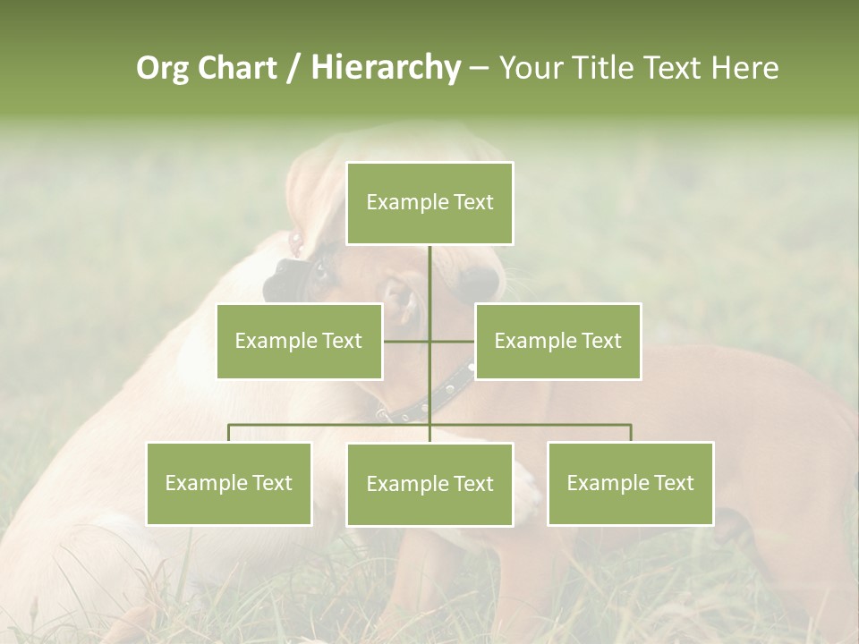 Puppy Grass Purebred PowerPoint Template