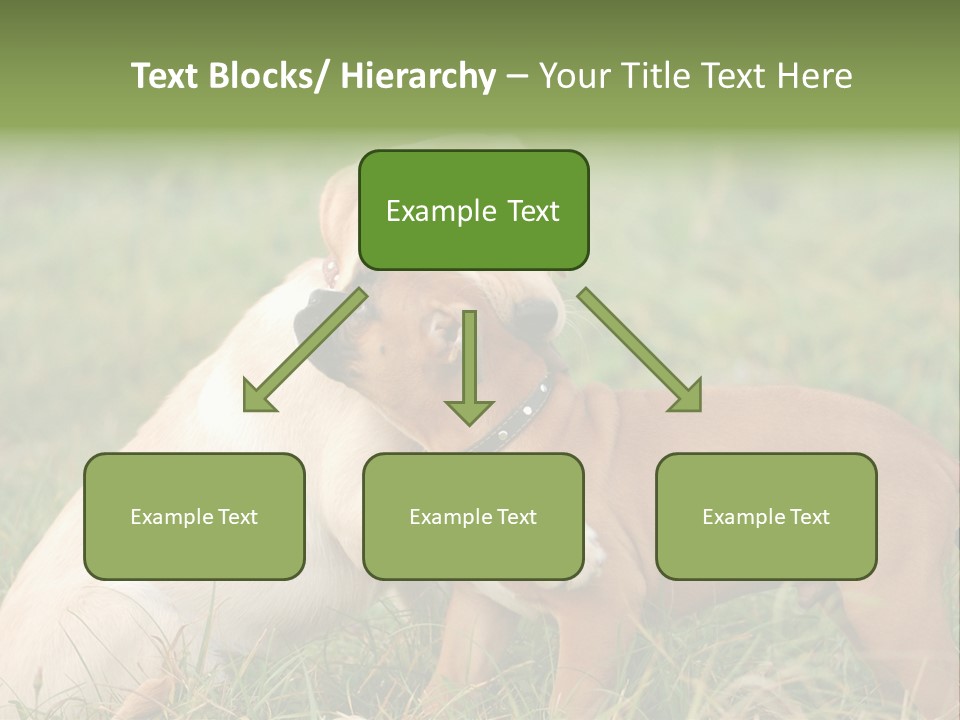 Puppy Grass Purebred PowerPoint Template