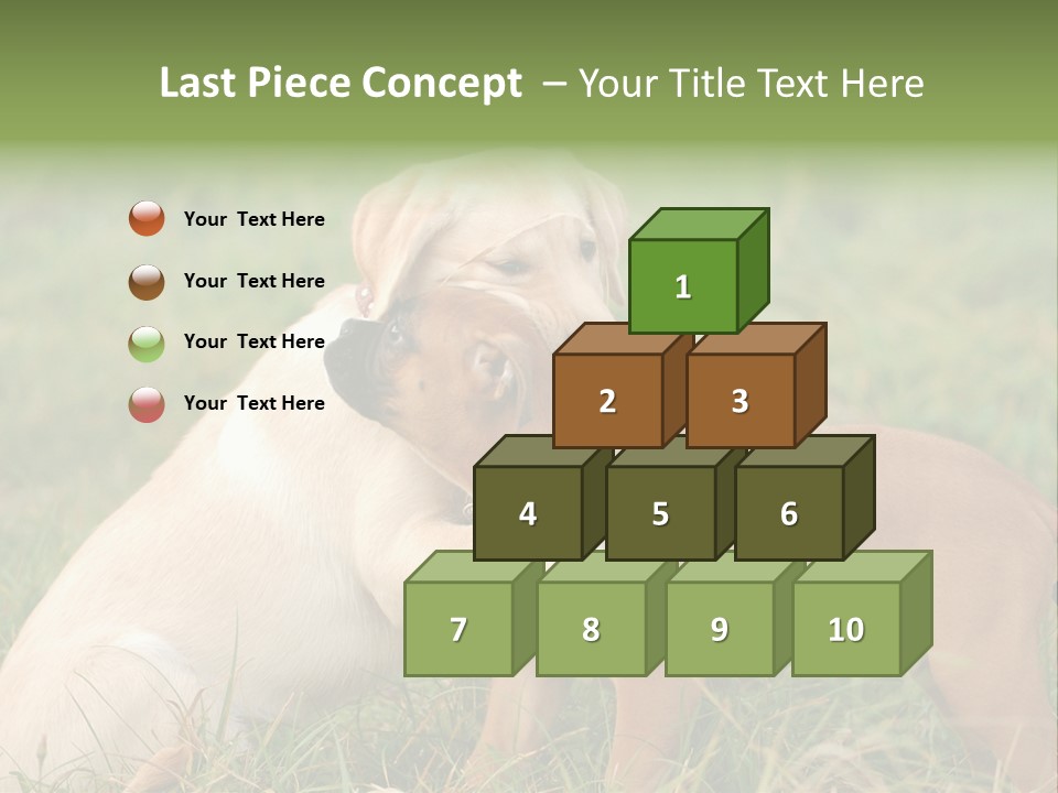 Puppy Grass Purebred PowerPoint Template