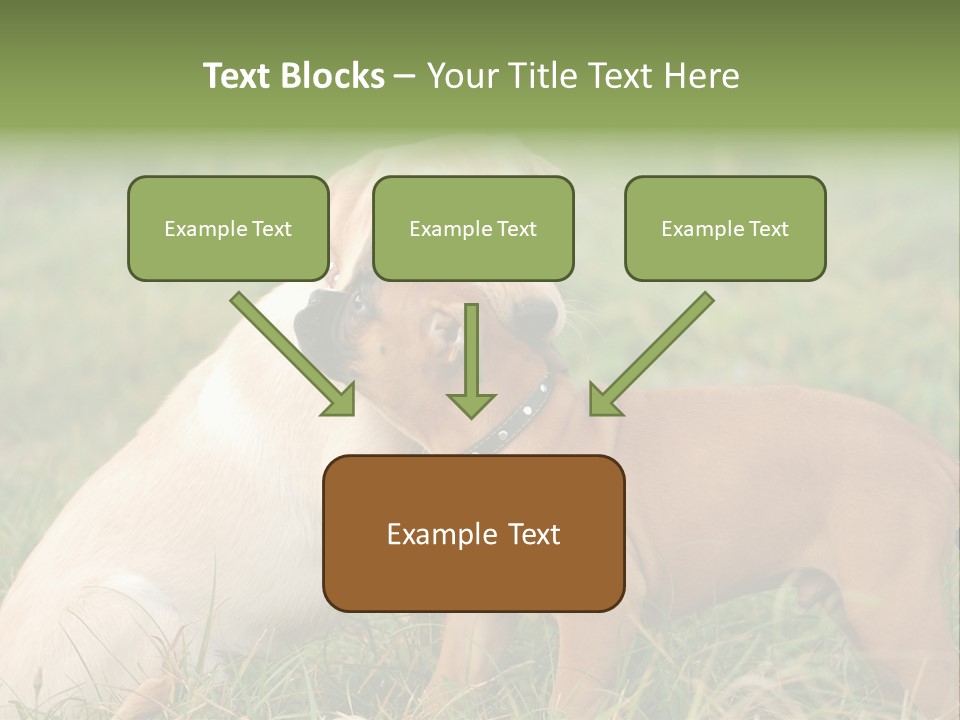 Puppy Grass Purebred PowerPoint Template