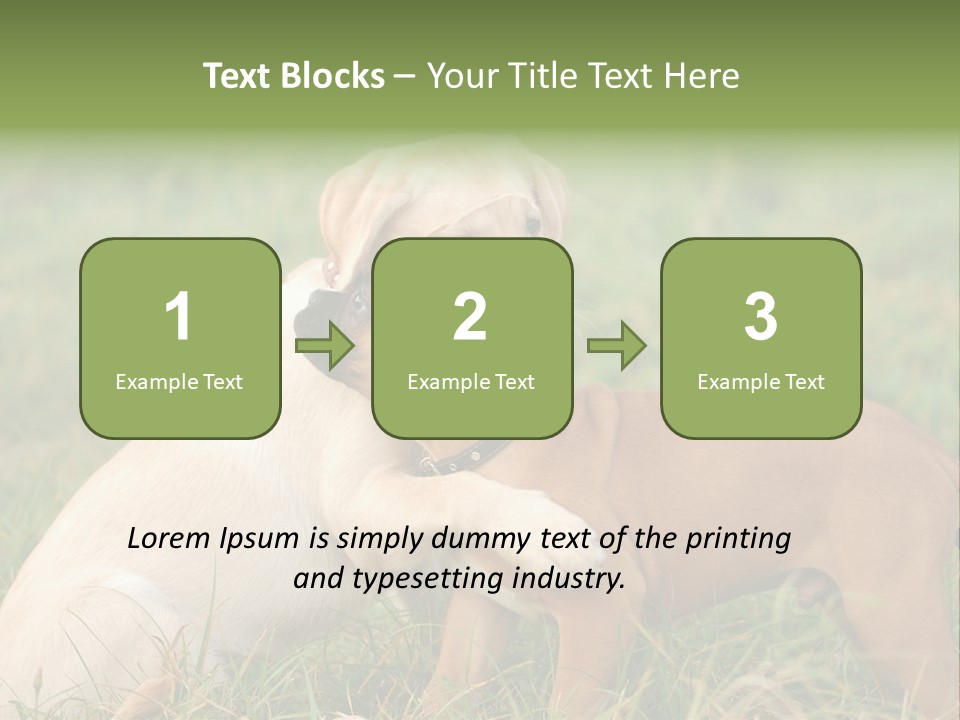 Puppy Grass Purebred PowerPoint Template