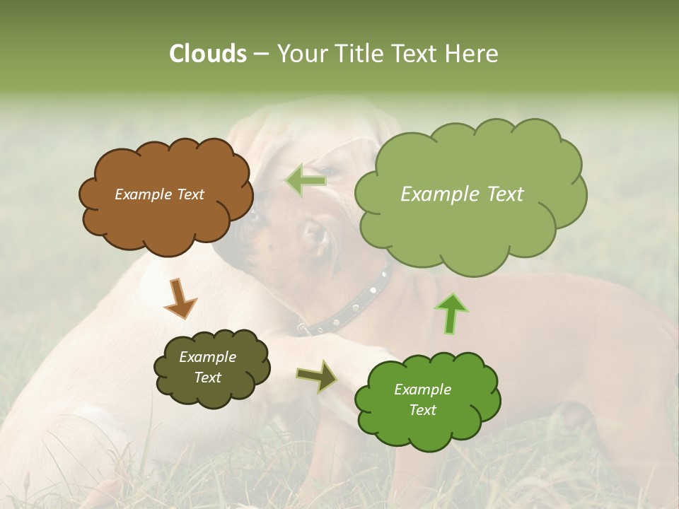 Puppy Grass Purebred PowerPoint Template