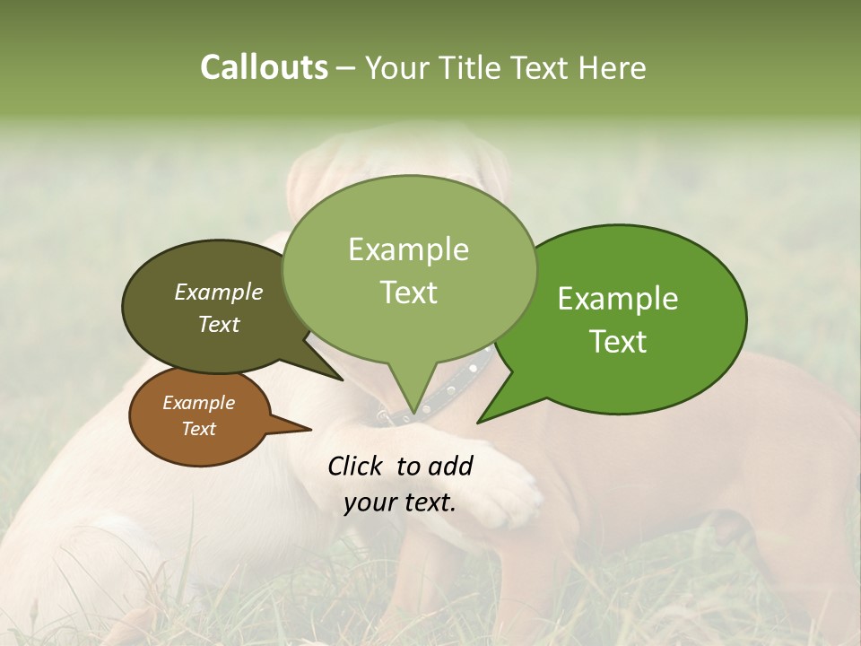 Puppy Grass Purebred PowerPoint Template