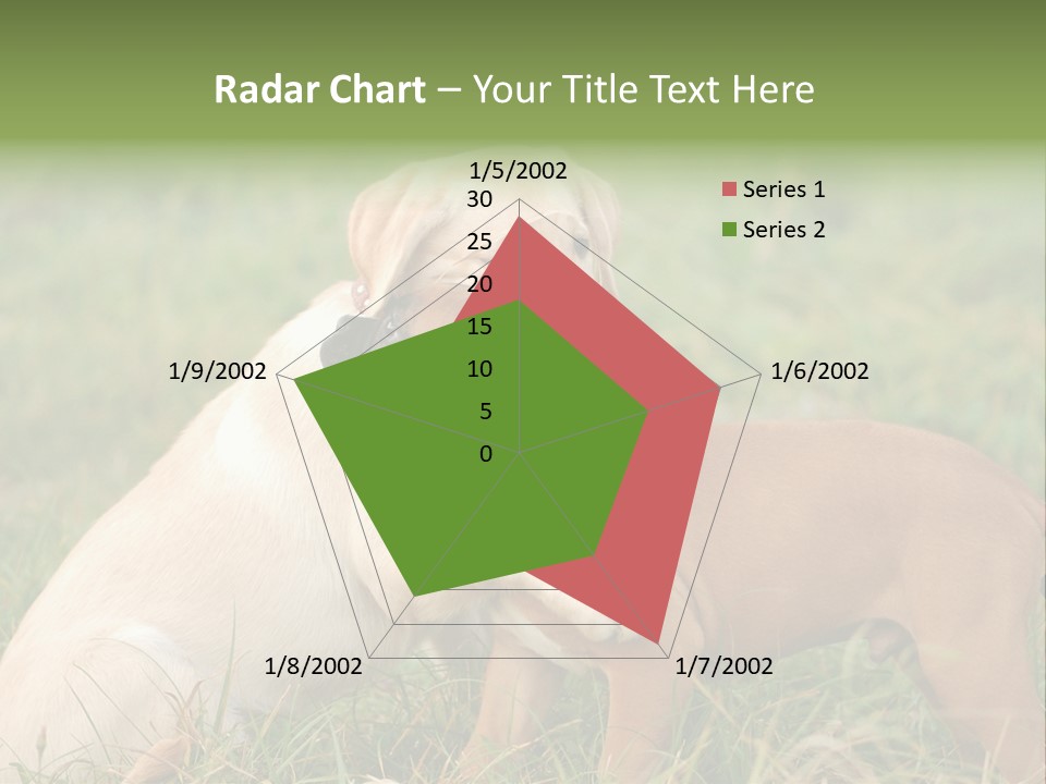 Puppy Grass Purebred PowerPoint Template