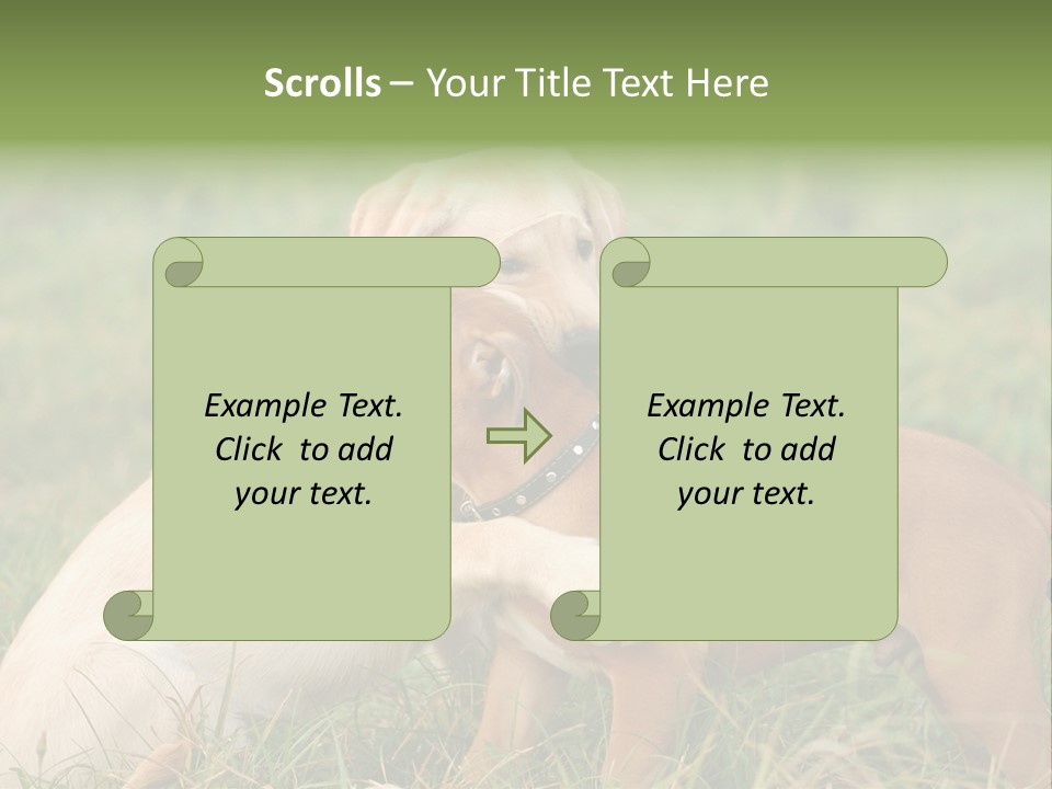 Puppy Grass Purebred PowerPoint Template