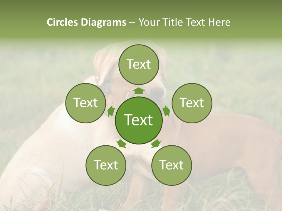 Puppy Grass Purebred PowerPoint Template
