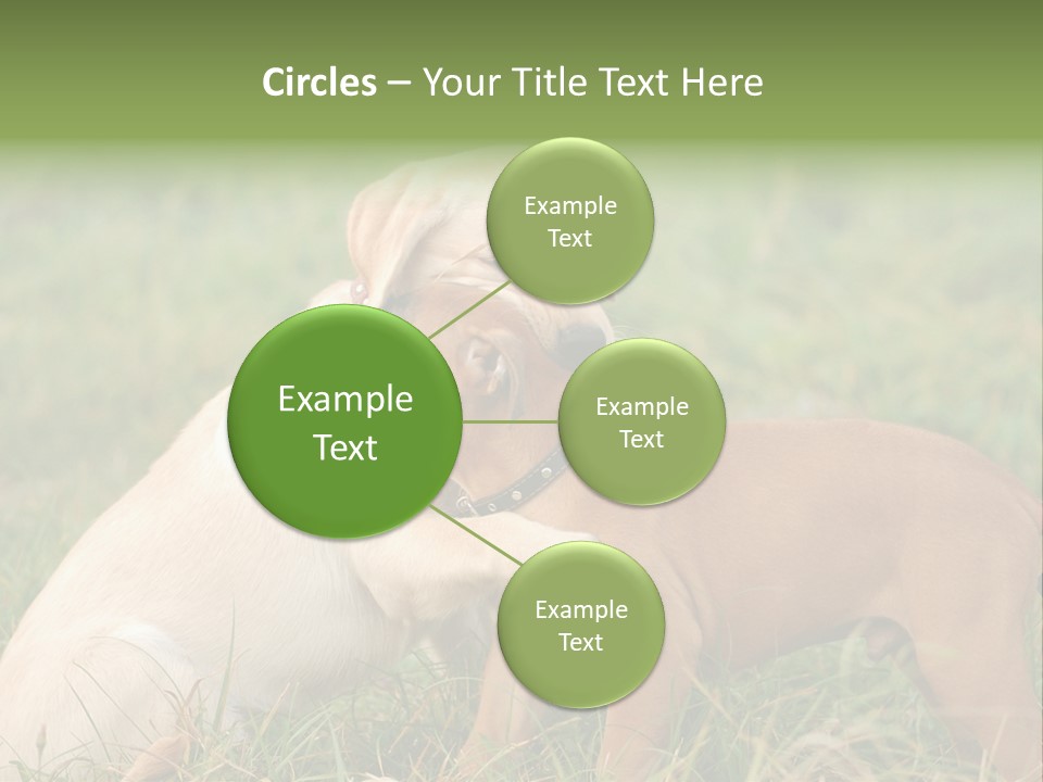 Puppy Grass Purebred PowerPoint Template