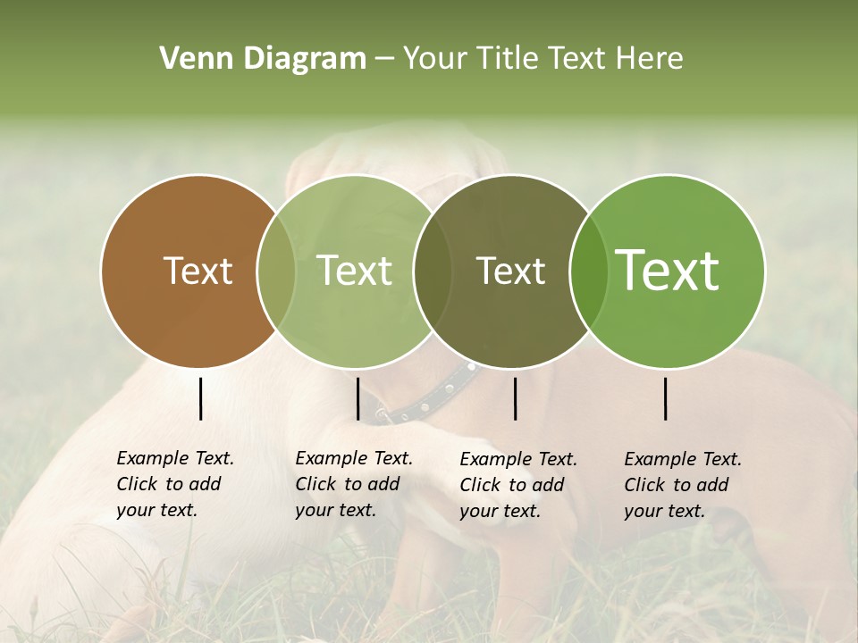 Puppy Grass Purebred PowerPoint Template