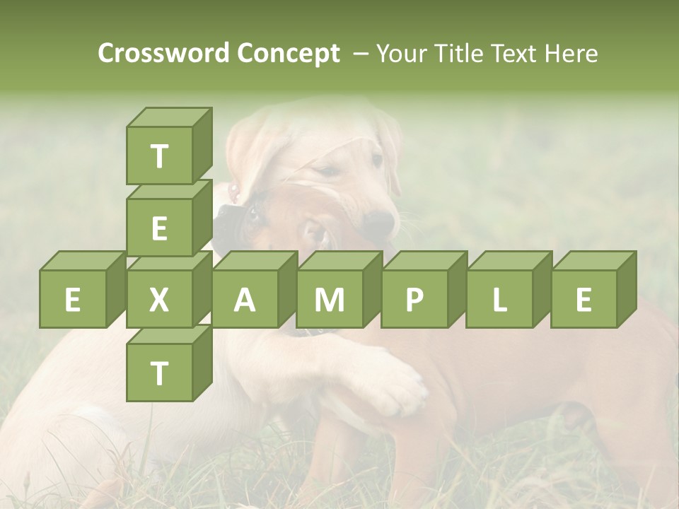 Puppy Grass Purebred PowerPoint Template