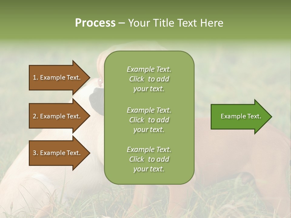 Puppy Grass Purebred PowerPoint Template
