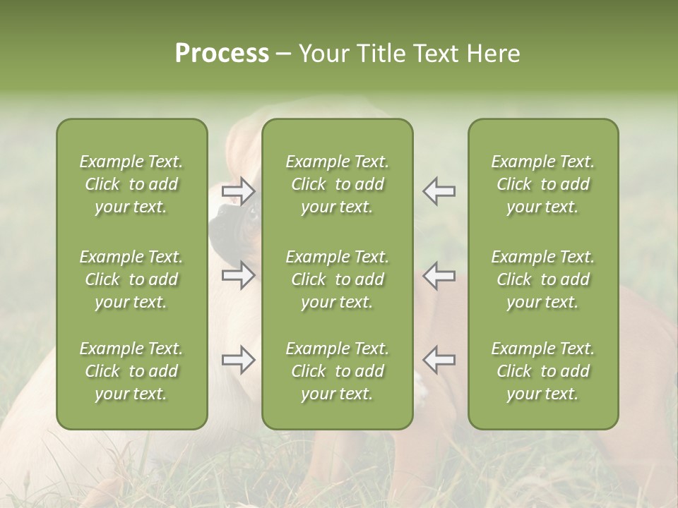 Puppy Grass Purebred PowerPoint Template
