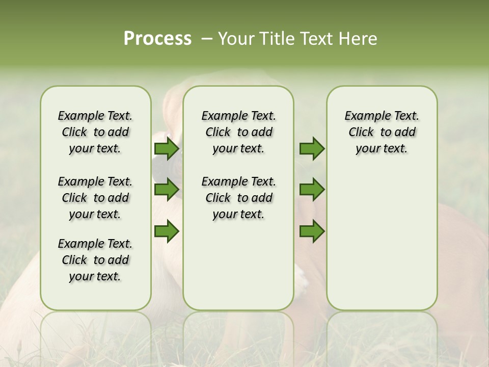 Puppy Grass Purebred PowerPoint Template