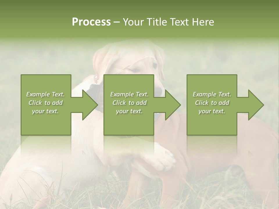 Puppy Grass Purebred PowerPoint Template