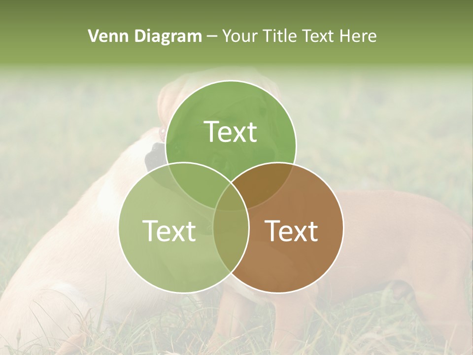 Puppy Grass Purebred PowerPoint Template