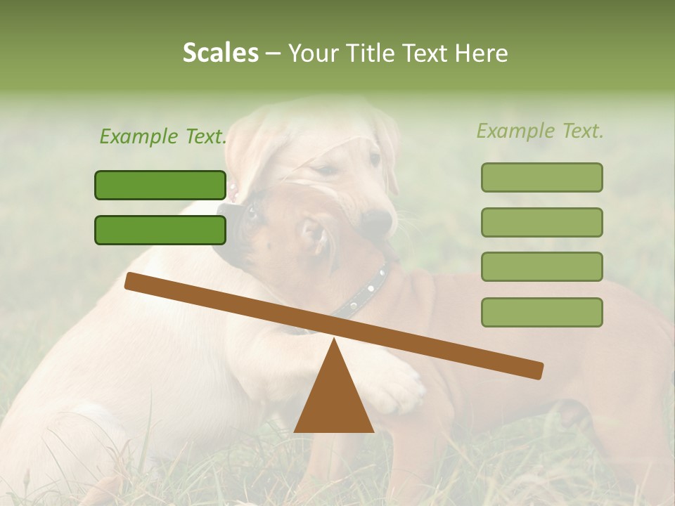 Puppy Grass Purebred PowerPoint Template