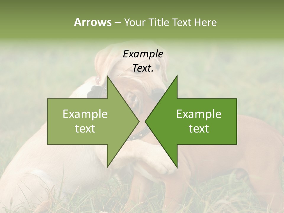 Puppy Grass Purebred PowerPoint Template