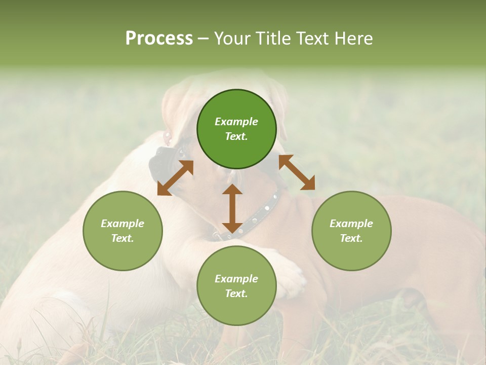 Puppy Grass Purebred PowerPoint Template