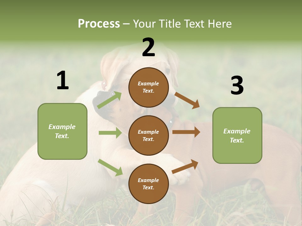 Puppy Grass Purebred PowerPoint Template