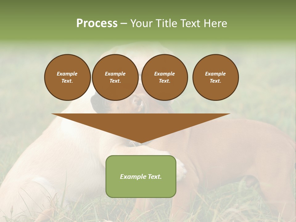 Puppy Grass Purebred PowerPoint Template